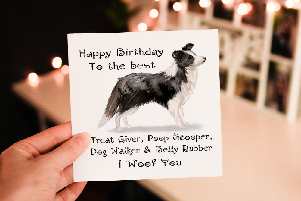 Collie Black & White Dog Birthday Card, Dog Birthday Card - Click Image to Close